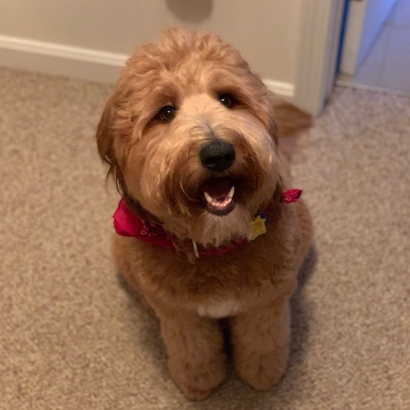 Meet your Posher, Jill - Picture 1 of 1